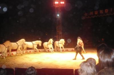 caballos del circo.....